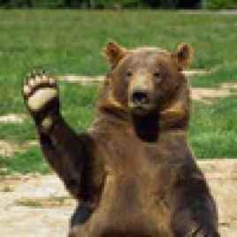 Владимир Данилов