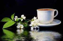 Инна Кублицкая