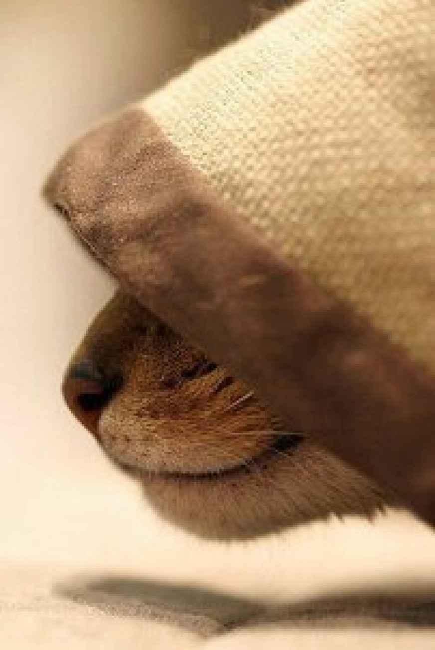 Оксана Куприянова