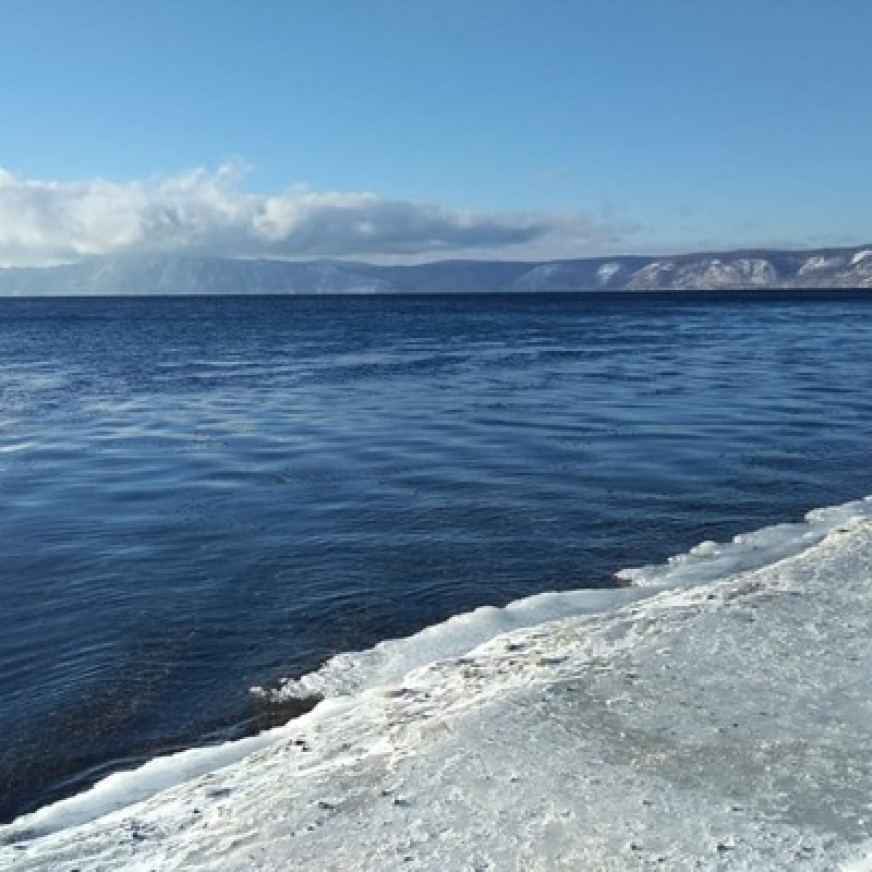 Александр Шведцов