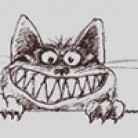 Ника Ракитина