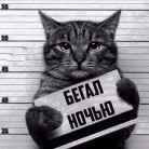 Бармалейкин