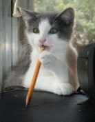 Алексей Морозов