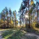 Егор Баранов